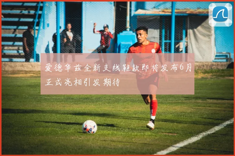 爱德华兹全新支线鞋款即将发布6月正式亮相引发期待