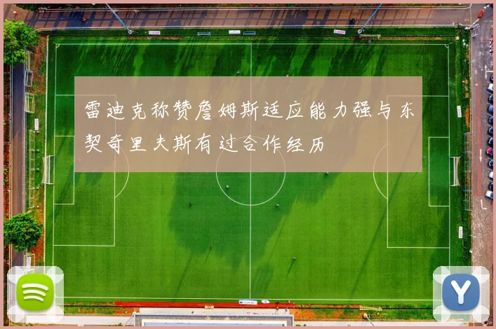 雷迪克称赞詹姆斯适应能力强与东契奇里夫斯有过合作经历