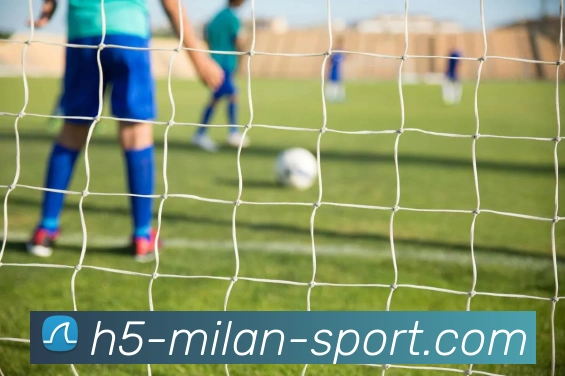 App Interface Preview